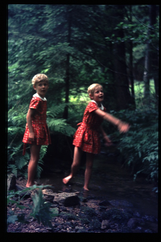 15.Regensburg jul 1969 Brigitte,Marion.JPG